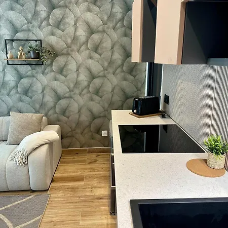 Prestige With Private Hot Tub Sauna Balneotherapy * ソアソン